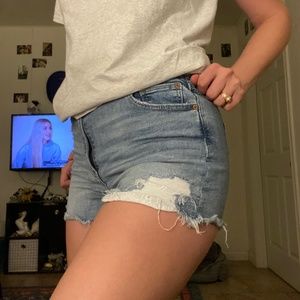 Curvy Hi Rise Shorts